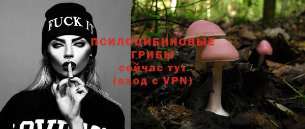 МДПВ Абинск