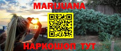 крисы Камышлов