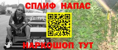 крисы Камышлов