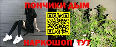 крисы Камышлов