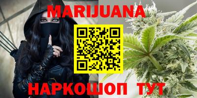 крисы Камышлов