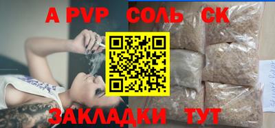 крисы Камышлов